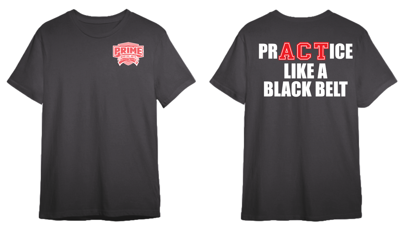 Practice Like A Black Belt - TShirt