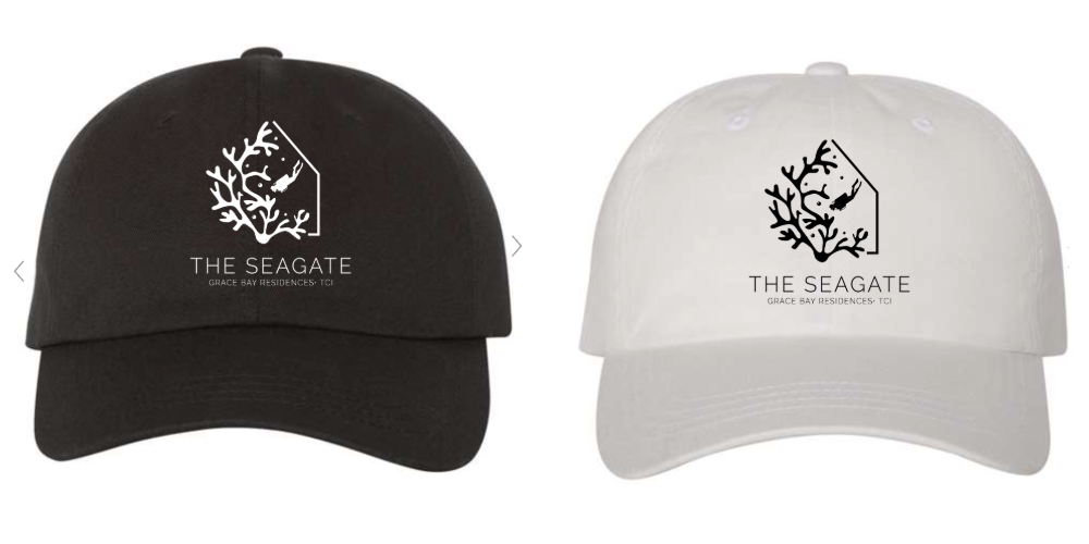 Seagate Dad Cap
