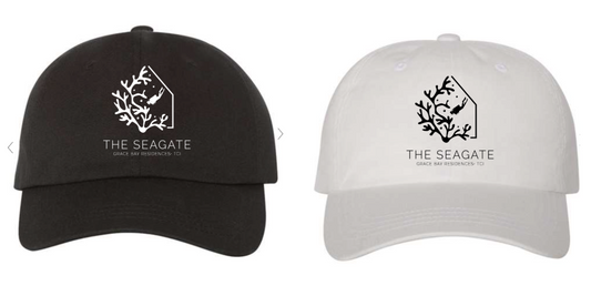 Seagate Dad Cap