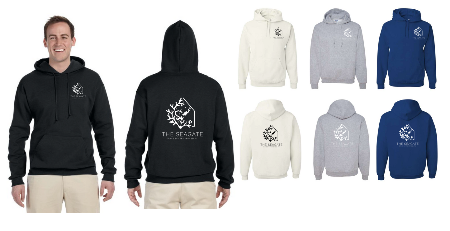 Seagate Hoodie